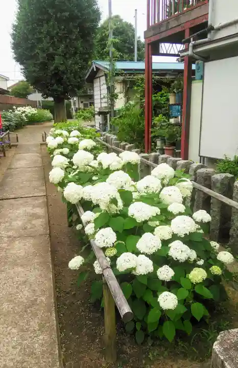 日吉八王子神社の庭園