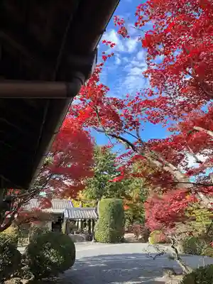 神光院(京都府)
