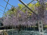 白旗神社(神奈川県)