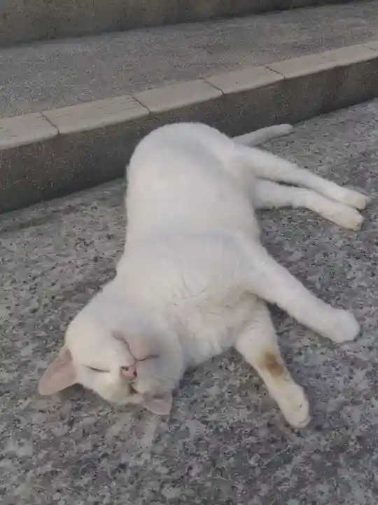 宝寿院(愛知県)