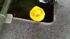 高司神社〜むすびの神の鎮まる社〜の手水