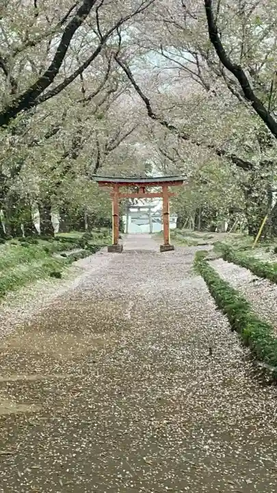 東蕗田天満社の{uncategorized: "未分類", other: "その他", undefined: "問題あり", building: "その他建物", grave: "お墓", sacred_gate: "鳥居", guardian: "狛犬", statue: "像", buddha: "仏像", history: "歴史", nature: "自然", garden: "庭園", animal: "動物", pagoda: "塔", temizu: "手水舎", mountain_gate: "山門・神門", sanctuary: "本殿・本堂", subordinate: "末社・摂社", art: "芸術", scenery: "景色", jizo: "地蔵", ema: "絵馬", goshuin: "御朱印", omikuji: "おみくじ", items: "授与品その他", amulet: "お守り", goshuincho: "御朱印帳", eats: "食事", festival: "お祭り", votive_dance: "神楽", shichigosan: "七五三参", wedding: "結婚式", experience: "体験その他", initially: "初詣", around: "周辺", anti_infection: "感染症対策"}