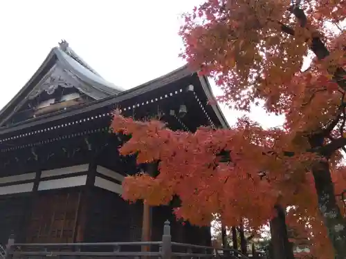 妙顯寺（妙顕寺）(京都府)