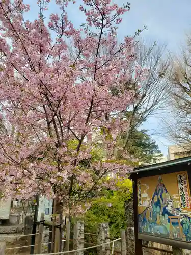 鳩森八幡神社の自然