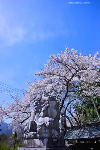 冨士御室浅間神社(山梨県)