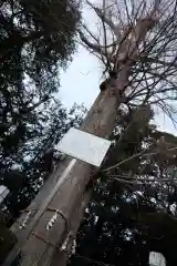 深見神社(神奈川県)