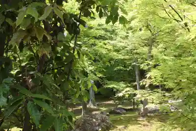勝林寺(京都府)