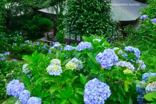 妙楽寺(神奈川県)