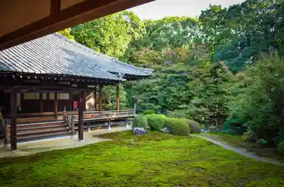 隨心院(随心院)(京都府)