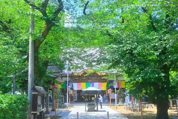 蓮馨寺(埼玉県)