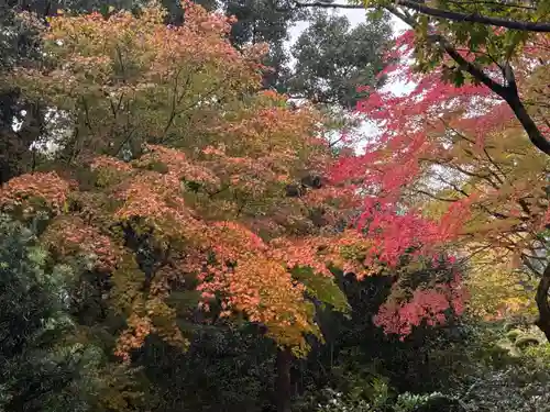 詩仙堂（丈山寺）(京都府)