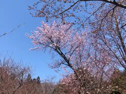 北海道神宮の自然