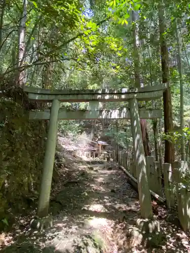 日向大神宮の鳥居