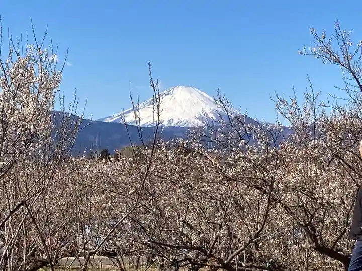 八幡社(小田原市曽我別所)(神奈川県)