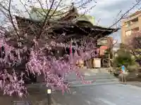 桜神宮の本殿・本堂