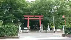 世田谷八幡宮の鳥居