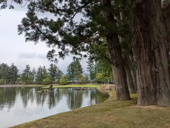 毛越寺(岩手県)