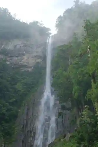 飛瀧神社（熊野那智大社別宮）の自然