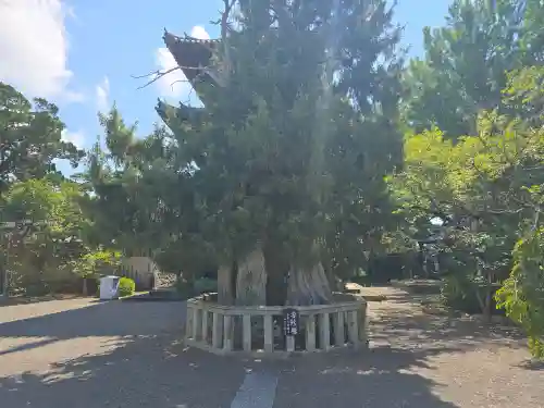 道成寺(和歌山県)