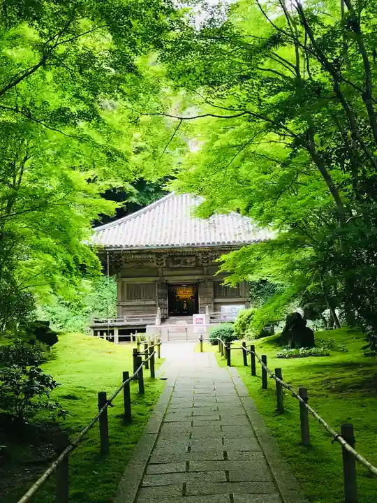 円通院の本殿・本堂