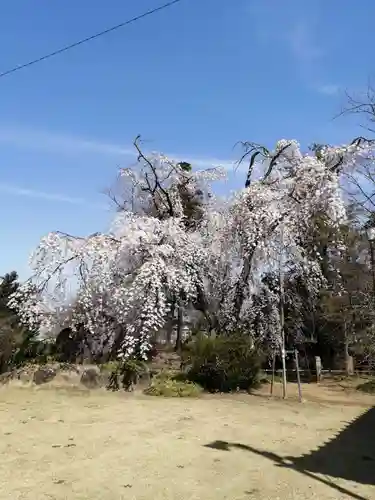 境香取神社の庭園