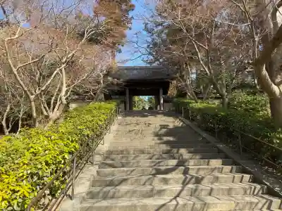 長壽寺（長寿寺）の{uncategorized: "未分類", other: "その他", undefined: "問題あり", building: "その他建物", grave: "お墓", sacred_gate: "鳥居", guardian: "狛犬", statue: "像", buddha: "仏像", history: "歴史", nature: "自然", garden: "庭園", animal: "動物", pagoda: "塔", temizu: "手水舎", mountain_gate: "山門・神門", sanctuary: "本殿・本堂", subordinate: "末社・摂社", art: "芸術", scenery: "景色", jizo: "地蔵", ema: "絵馬", goshuin: "御朱印", omikuji: "おみくじ", items: "授与品その他", amulet: "お守り", goshuincho: "御朱印帳", eats: "食事", festival: "お祭り", votive_dance: "神楽", shichigosan: "七五三参", wedding: "結婚式", experience: "体験その他", initially: "初詣", around: "周辺", anti_infection: "感染症対策"}