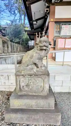 北澤八幡神社の狛犬