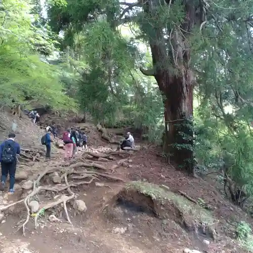 大山阿夫利神社本社(神奈川県)