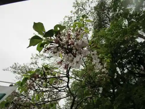 金剛宝寺（紀三井寺）(和歌山県)