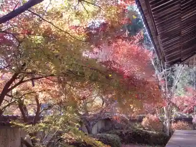 玉龍寺(岐阜県)