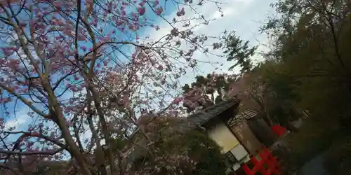 出雲大神宮のその他建物