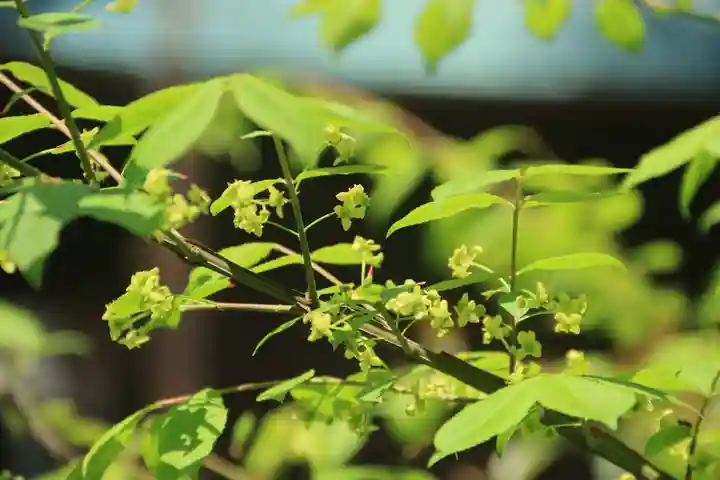 阿邪訶根神社の庭園