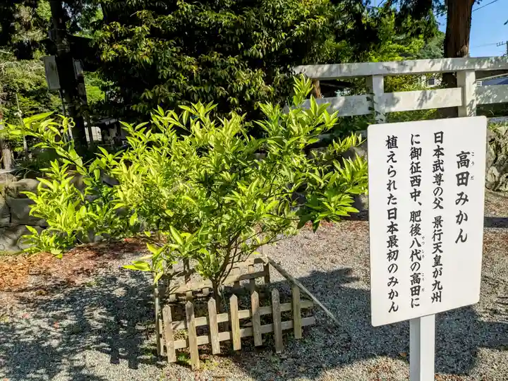 鎌倉宮(神奈川県)