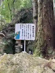 河上神社の建物その他