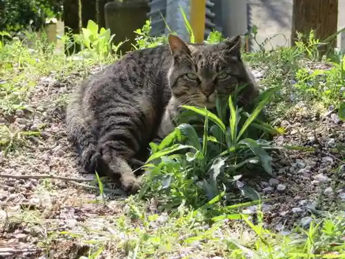 熊野若王子神社(京都府)