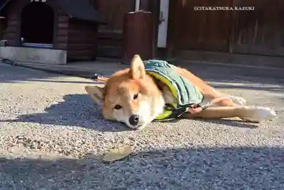 感通寺(東京都)