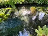 白川吉見神社(熊本県)