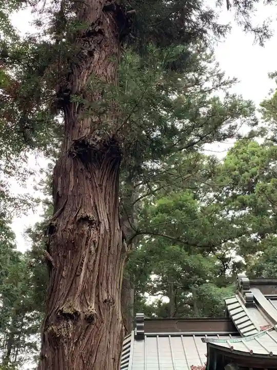 六所神社(茨城県)