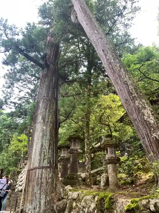 石上神宮(奈良県)