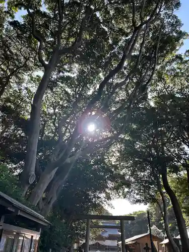 酒列磯前神社の自然