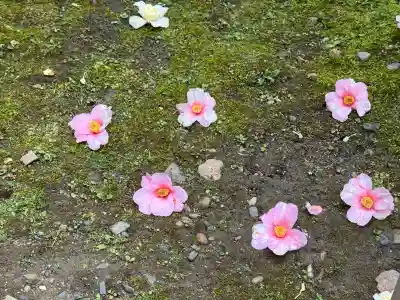 城南宮(京都府)