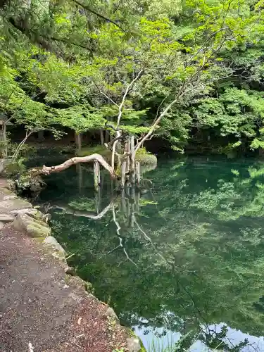 涌釜神社(栃木県)