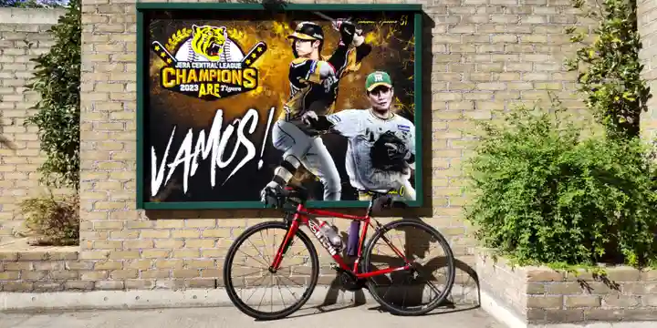 素盞嗚神社(兵庫県)