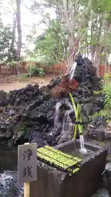 平塚八幡宮の体験その他
