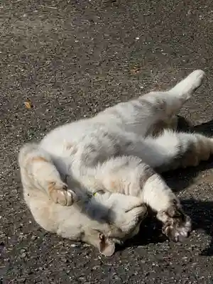 熊野神社の動物