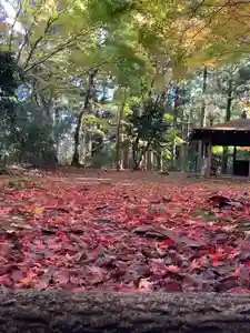 国上寺(新潟県)(2024年11月25日(月) 17時01分06秒投稿)