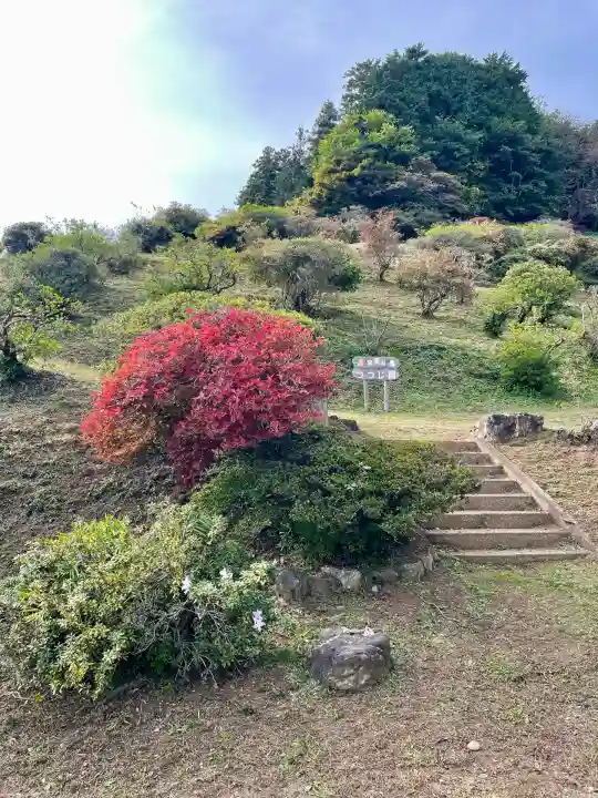 宝登山神社奥宮(埼玉県)