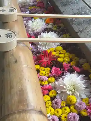 群馬県護国神社(群馬県)