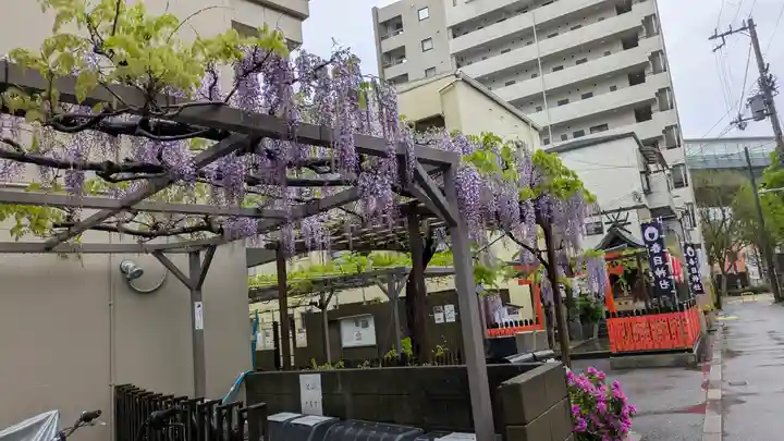 藤之宮 春日神社(野田の藤跡)(大阪府)