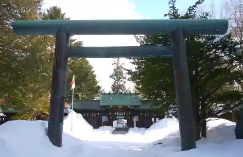 琴似神社の鳥居